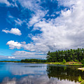 Blue Skies
