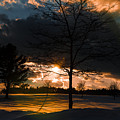 Late Afternoon Sun