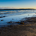 Low Tide in Winter