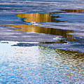 Meandering Towards Spring